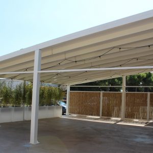 Tendocoperture